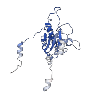 26485_7ug6_D_v1-2
Cryo-EM structure of pre-60S ribosomal subunit, unmethylated G2922