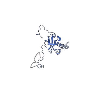 26485_7ug6_E_v1-2
Cryo-EM structure of pre-60S ribosomal subunit, unmethylated G2922