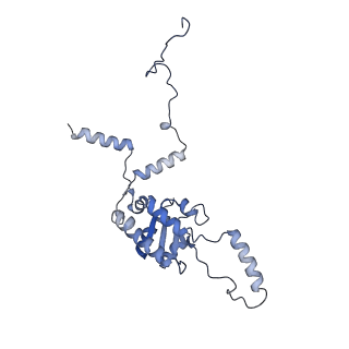 26485_7ug6_G_v1-2
Cryo-EM structure of pre-60S ribosomal subunit, unmethylated G2922