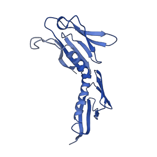 26485_7ug6_H_v1-2
Cryo-EM structure of pre-60S ribosomal subunit, unmethylated G2922