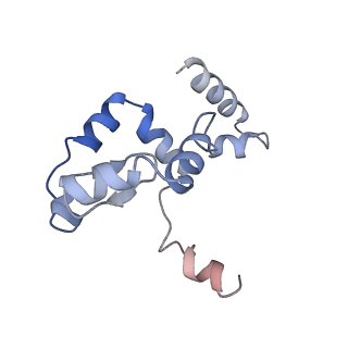 26485_7ug6_I_v1-2
Cryo-EM structure of pre-60S ribosomal subunit, unmethylated G2922