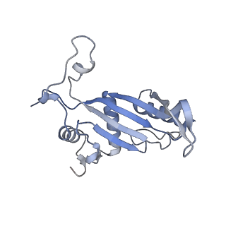 26485_7ug6_J_v1-2
Cryo-EM structure of pre-60S ribosomal subunit, unmethylated G2922