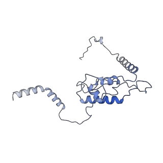 26485_7ug6_L_v1-2
Cryo-EM structure of pre-60S ribosomal subunit, unmethylated G2922