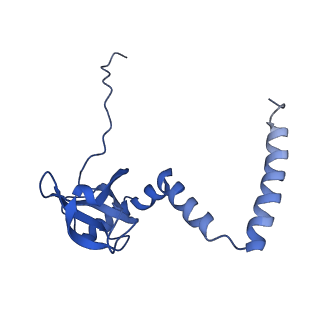 26485_7ug6_M_v1-2
Cryo-EM structure of pre-60S ribosomal subunit, unmethylated G2922