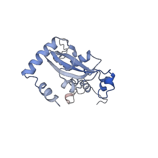 26485_7ug6_N_v1-2
Cryo-EM structure of pre-60S ribosomal subunit, unmethylated G2922