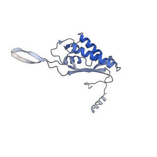26485_7ug6_P_v1-2
Cryo-EM structure of pre-60S ribosomal subunit, unmethylated G2922