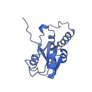 26485_7ug6_Q_v1-2
Cryo-EM structure of pre-60S ribosomal subunit, unmethylated G2922