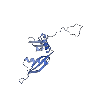 26485_7ug6_S_v1-2
Cryo-EM structure of pre-60S ribosomal subunit, unmethylated G2922