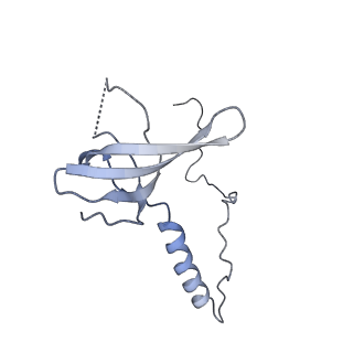26485_7ug6_T_v1-2
Cryo-EM structure of pre-60S ribosomal subunit, unmethylated G2922
