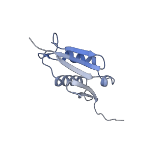 26485_7ug6_U_v1-2
Cryo-EM structure of pre-60S ribosomal subunit, unmethylated G2922