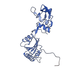 26485_7ug6_W_v1-2
Cryo-EM structure of pre-60S ribosomal subunit, unmethylated G2922