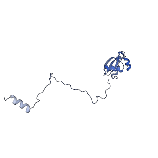 26485_7ug6_X_v1-2
Cryo-EM structure of pre-60S ribosomal subunit, unmethylated G2922