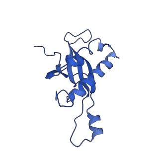 26485_7ug6_Z_v1-2
Cryo-EM structure of pre-60S ribosomal subunit, unmethylated G2922