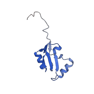 26485_7ug6_a_v1-2
Cryo-EM structure of pre-60S ribosomal subunit, unmethylated G2922