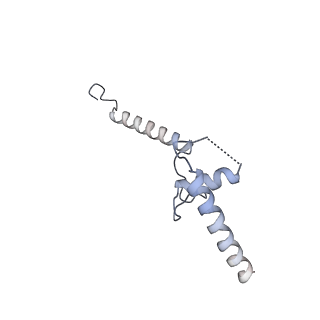 26485_7ug6_c_v1-2
Cryo-EM structure of pre-60S ribosomal subunit, unmethylated G2922