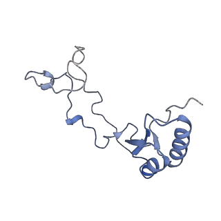 26485_7ug6_e_v1-2
Cryo-EM structure of pre-60S ribosomal subunit, unmethylated G2922