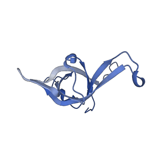 26485_7ug6_f_v1-2
Cryo-EM structure of pre-60S ribosomal subunit, unmethylated G2922