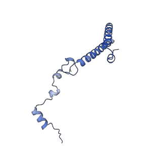 26485_7ug6_h_v1-2
Cryo-EM structure of pre-60S ribosomal subunit, unmethylated G2922