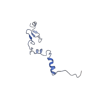 26485_7ug6_j_v1-2
Cryo-EM structure of pre-60S ribosomal subunit, unmethylated G2922
