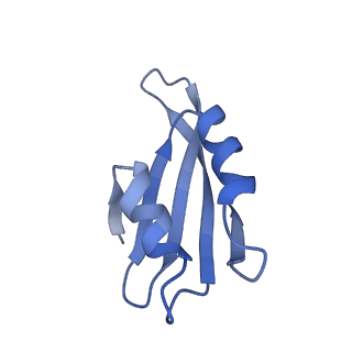 26485_7ug6_k_v1-2
Cryo-EM structure of pre-60S ribosomal subunit, unmethylated G2922