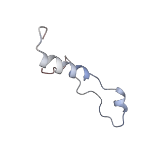 26485_7ug6_l_v1-2
Cryo-EM structure of pre-60S ribosomal subunit, unmethylated G2922