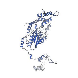 26485_7ug6_m_v1-2
Cryo-EM structure of pre-60S ribosomal subunit, unmethylated G2922