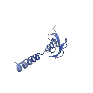 26485_7ug6_p_v1-2
Cryo-EM structure of pre-60S ribosomal subunit, unmethylated G2922