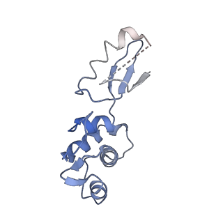 26485_7ug6_q_v1-2
Cryo-EM structure of pre-60S ribosomal subunit, unmethylated G2922