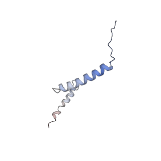 26485_7ug6_s_v1-2
Cryo-EM structure of pre-60S ribosomal subunit, unmethylated G2922