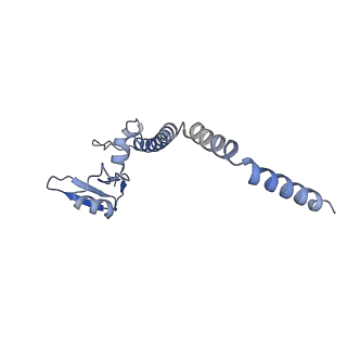 26485_7ug6_u_v1-2
Cryo-EM structure of pre-60S ribosomal subunit, unmethylated G2922