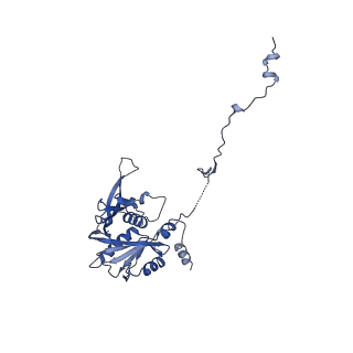 26485_7ug6_v_v1-2
Cryo-EM structure of pre-60S ribosomal subunit, unmethylated G2922