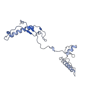 26485_7ug6_w_v1-2
Cryo-EM structure of pre-60S ribosomal subunit, unmethylated G2922