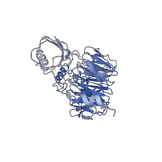 26485_7ug6_x_v1-2
Cryo-EM structure of pre-60S ribosomal subunit, unmethylated G2922