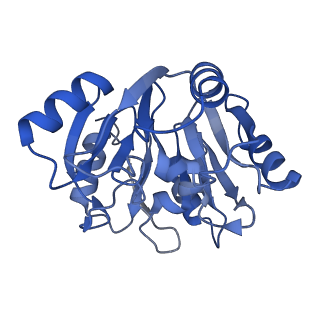 26485_7ug6_y_v1-2
Cryo-EM structure of pre-60S ribosomal subunit, unmethylated G2922