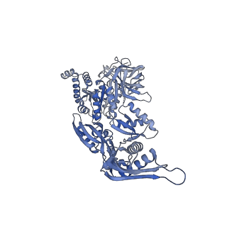 26486_7ug7_EF_v1-0
70S ribosome complex in an intermediate state of translocation bound to EF-G(GDP) stalled by Argyrin B