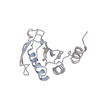 26486_7ug7_LA_v1-0
70S ribosome complex in an intermediate state of translocation bound to EF-G(GDP) stalled by Argyrin B