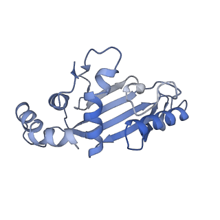 26486_7ug7_LE_v1-0
70S ribosome complex in an intermediate state of translocation bound to EF-G(GDP) stalled by Argyrin B