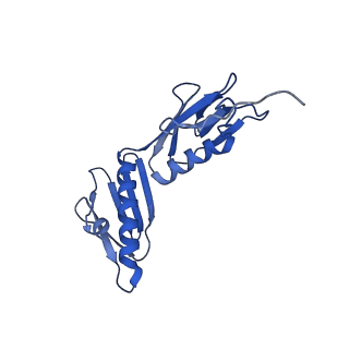 26486_7ug7_LF_v1-0
70S ribosome complex in an intermediate state of translocation bound to EF-G(GDP) stalled by Argyrin B