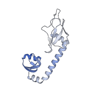 26486_7ug7_LI_v1-0
70S ribosome complex in an intermediate state of translocation bound to EF-G(GDP) stalled by Argyrin B