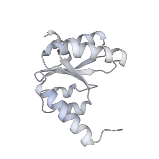 26486_7ug7_LJ_v1-0
70S ribosome complex in an intermediate state of translocation bound to EF-G(GDP) stalled by Argyrin B