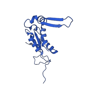 26486_7ug7_LM_v1-0
70S ribosome complex in an intermediate state of translocation bound to EF-G(GDP) stalled by Argyrin B