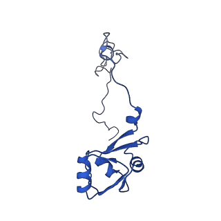 26486_7ug7_LO_v1-0
70S ribosome complex in an intermediate state of translocation bound to EF-G(GDP) stalled by Argyrin B