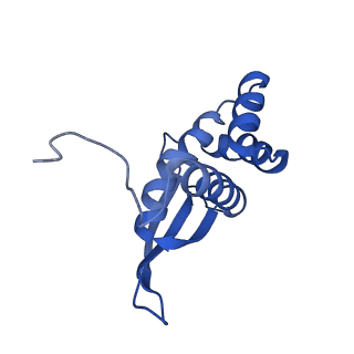 26486_7ug7_LQ_v1-0
70S ribosome complex in an intermediate state of translocation bound to EF-G(GDP) stalled by Argyrin B