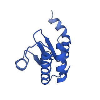 26486_7ug7_LR_v1-0
70S ribosome complex in an intermediate state of translocation bound to EF-G(GDP) stalled by Argyrin B