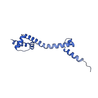 26486_7ug7_LT_v1-0
70S ribosome complex in an intermediate state of translocation bound to EF-G(GDP) stalled by Argyrin B