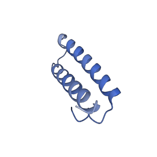 26486_7ug7_Lc_v1-0
70S ribosome complex in an intermediate state of translocation bound to EF-G(GDP) stalled by Argyrin B