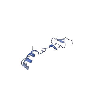 26486_7ug7_Lf_v1-0
70S ribosome complex in an intermediate state of translocation bound to EF-G(GDP) stalled by Argyrin B