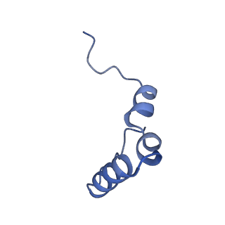26486_7ug7_Lh_v1-0
70S ribosome complex in an intermediate state of translocation bound to EF-G(GDP) stalled by Argyrin B