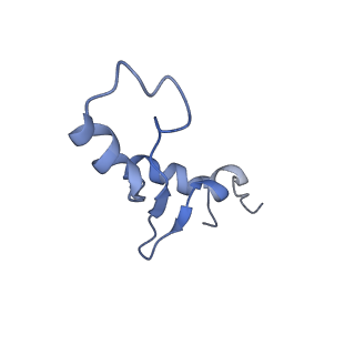 26486_7ug7_Li_v1-0
70S ribosome complex in an intermediate state of translocation bound to EF-G(GDP) stalled by Argyrin B