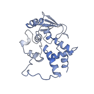 26486_7ug7_SD_v1-0
70S ribosome complex in an intermediate state of translocation bound to EF-G(GDP) stalled by Argyrin B